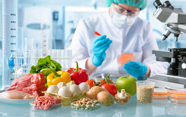 Conheça os 4 top cursos de Pós-Graduação em Alimentos